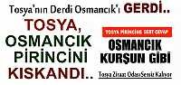 TOSYA, OSMANCIK PİRİNCİNİ KISKANDI