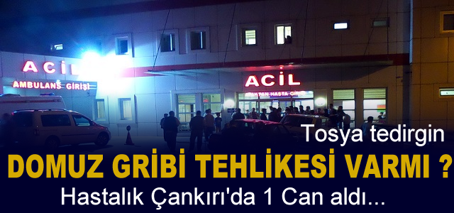 DOMUZ GRİBİ TEHLİKESİ ÇANKIRIDA 1 CAN ALDI