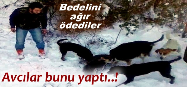 DOMUZA İŞKENCE YAPAN AVCILARA, 3 BİN 682 TL CEZA UYGULANDI