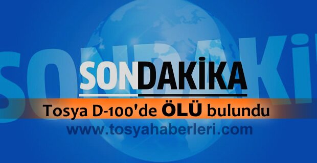 TOSYA D-100 KARAYOLUNDA ÖLÜ BULUNDU