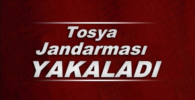 TOSYA JANDARMASINDAN KAÇAKÇILARA DARBE