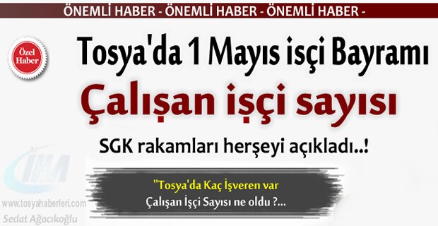 TOSYA'DA 1 MAYIS İŞÇİ BAYRAMI VE İŞÇİ SAYISI