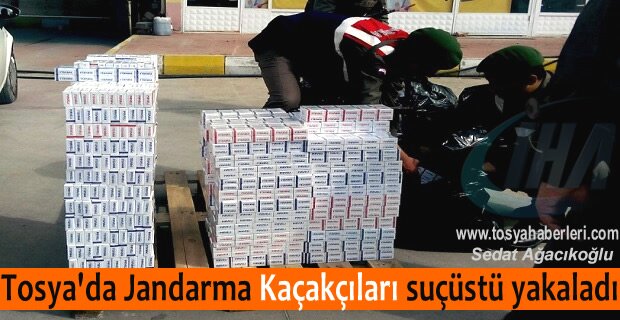 TOSYA JANDARMADAN KAÇAK SİGARA OPERASYONU