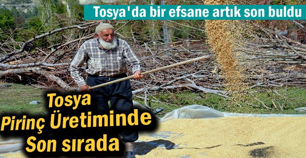 Tosya Pirinç üretiminde son sırada