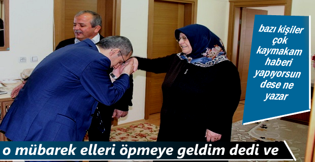 Tosya Kaymakamı Deniz Pişkin Şehit Ailelerini Ziyaret Etti