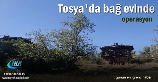 Tosya’da Terkedilmiş bağ evinde Operasyon