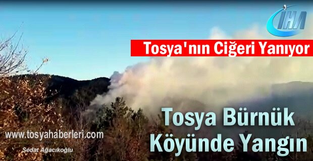 Tosya Bürnük Köyü Orman Yangın ( SON DAKİKA-VİDEO HABER )