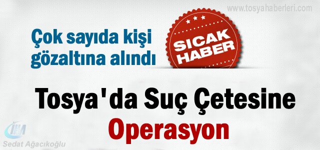 Tosya'da Suç Çetesine Operasyon