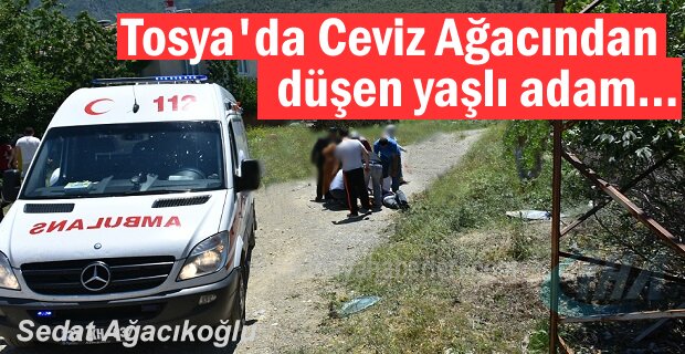 Tosya'da yaşlı adam Cevizden düştü