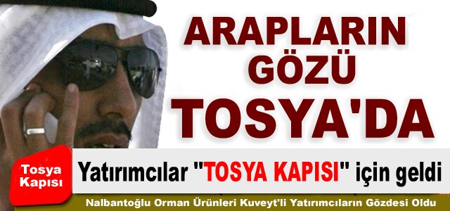 ARAP YATIRIMCILARIN YENİ GÖZDESİ ''TOSYA KAPISI''OLDU