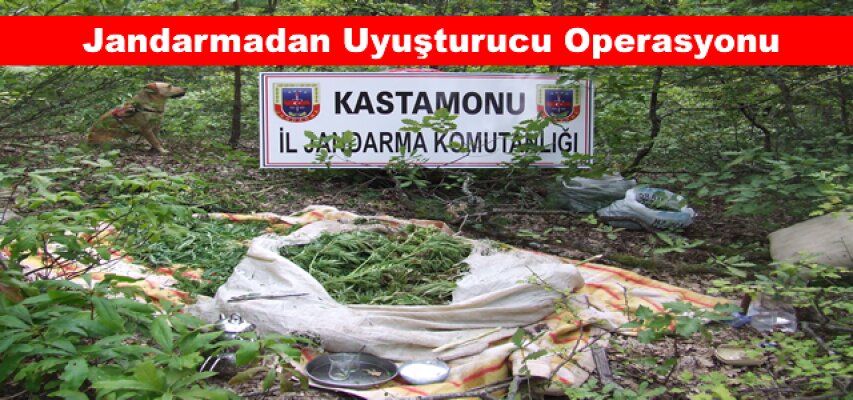 Jandarmadan uyuşturucu operasyonu