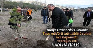 Dünya Ormancılık Gününde Tosya'da Dikkat Çeken Fidan Dikimi