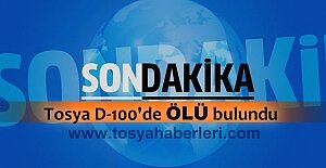 TOSYA D-100 KARAYOLUNDA ÖLÜ BULUNDU