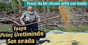 Tosya Pirinç üretiminde son sırada