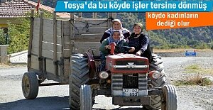 Tosyada Dağardı Köyünde işler...