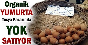 Tosya'da Köy Yumurtasına Yoğun Talep
