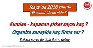 Tosya 2016 yılında Kapanan ve Açılan şirket sayısı kaç oldu