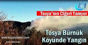 Tosya Bürnük Köyü Orman Yangın...
