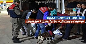 Tosya Huzur Operasyonuna detektör...