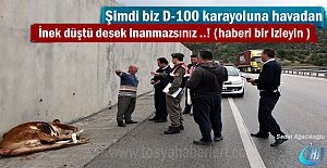 Tosyada D-100 karayoluna havadan...