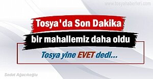 Tosya seçmeni yapılan referandumda yine Evet dedi