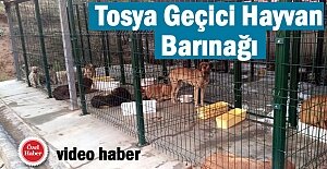 Tosya Belediyesi Geçici Hayvan Barınağı...