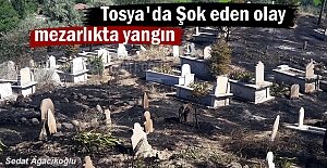 Tosya#039;da Mezarlıkta Büyük Yangın