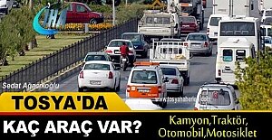 Tosya'da Araç Sayısında ilginç istatistik