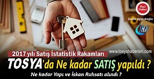 2017 YILINDA TOSYA KONUT SATIŞ İSTATİSTİĞİ