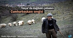 Dağdaki Çobanın Cumhurbaşkanı Recep Tayyip Erdoğan Sevgisi