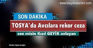 TOSYA#039;DA KAÇAK GEYİK AVCILARINA...