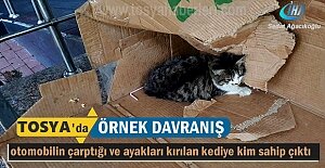 Tosyada Ayakları kırılan yaralı...