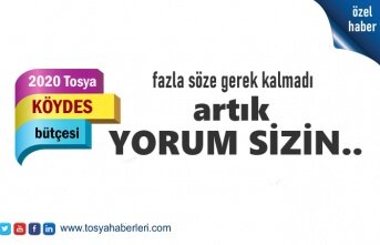 2020 KÖYDES BÜTÇESİNDE TOSYA NE DURUMDA