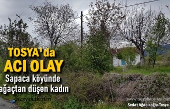 TOSYA'DA YAŞLI KADIN AYVA AĞACINDAN DÜŞTÜ
