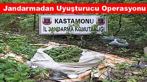 Jandarmadan uyuşturucu operasyonu