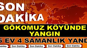 Tosya GÖKOMUZ köyünde Yangın