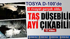 TOSYA’DA ‘TAŞ DÜŞEBİLİR,AYI ÇIKABİLİR’ RİVAYETİ GERÇEK OLDU