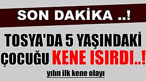 TOSYA'DA YILIN İLK '' KENE '' OLAYI