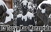 Tosya'dan 2013 Kar Manzaraları