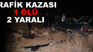 Trafik Kazası 1 Ölü 2 Yaralı