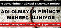 Acaba mahreç Tosya Pirincine mi yoksa Tosya Güneşine mi?