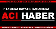 ACI HABER
