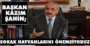 Başkan Şahin Sokak Köpeklerini Önemsiyoruz Dedi