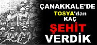 ÇANAKKALE SAVAŞINDA TOSYA KAÇ ŞEHİT VERDİ ?