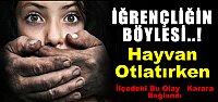 İlçedeki Tecavüz Olayı Karara Bağlandı