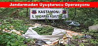 Jandarmadan uyuşturucu operasyonu