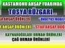 Kastamonu Ahşap Fuarında Tosya Rüzgarı