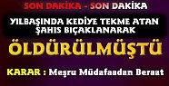 Kedi Olayında Karar Açıklandı SERBEST