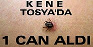 Kene Tosya'da 1 Can Aldı