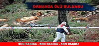 KESİM İŞÇİSİ ORMANLIK ALANDA ÖLÜ BULUNDU